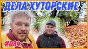 В лесу грибов нет, а ведро опят набрали возле дома. Утопили камеру с микрофоном. #хочувдеревню