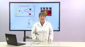 Химия. 9 класс. Качественные реакции на катионы  Fe2+, Fe3+, CU2+, взаимодействие со щелочами