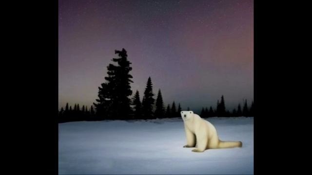 разбор мема из 2026 года