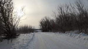 Карлсон - журналист. Всё ли понял, вот в чем вопрос...