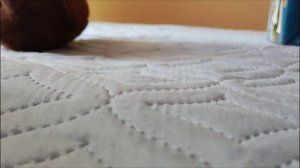 СКИБИДИ звери 18