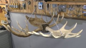 Люстра из рогов лося
