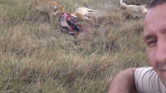 БК в Серенгети, Африка. смотреть онлайн