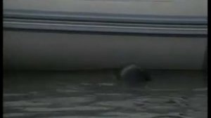Морские дьяволы - 4
