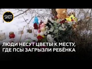 К месту гибели 7-летней девочки, растерзанной собаками, жители Домны несут цветы
