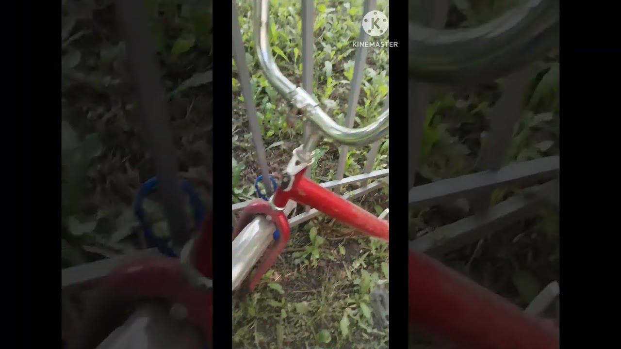 чуть не украли #Будникурьера #яндекседа #работа смотреть онлайн