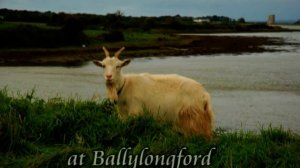 Wild Atlantic Way, West Clare - North Kerry.