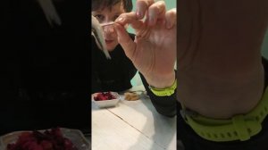 Хамса и Тюлька - как чистить.