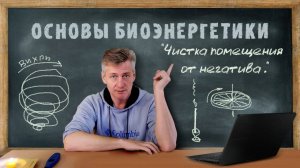 6. Чистим помещение от негатива. Основы Биоэнергетики.