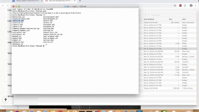 Liferay DXP - How to download and use the 30-days trial license смотреть онлайн