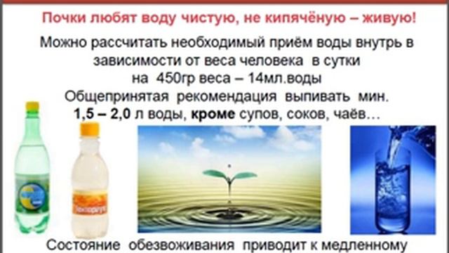 ***Почки - это Фильтры - Труженики! Забота о них.*** смотреть онлайн