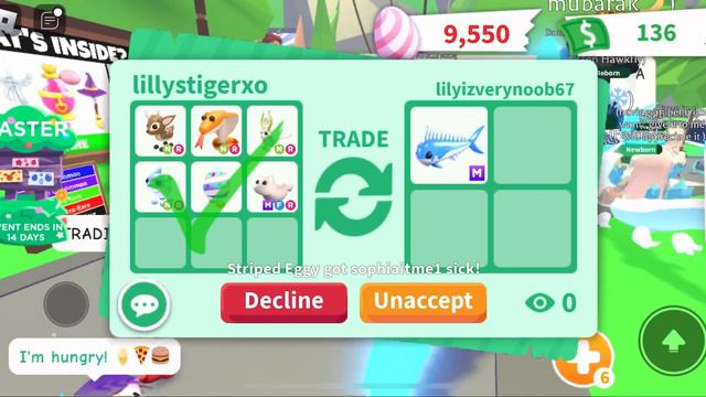 DID I GET MY DREAM MEGA IN ADOPT ME?!🥹😱*RICH TRADING* #adoptmeroblox #preppyadoptme #preppyroblox смотреть онлайн