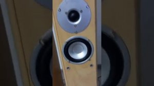 Magnat Motion 990