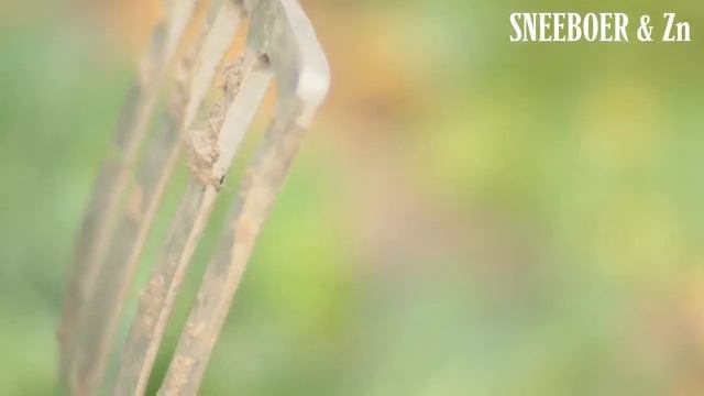 Intro - Sneeboer & Zn - Seasons.mp4 смотреть онлайн