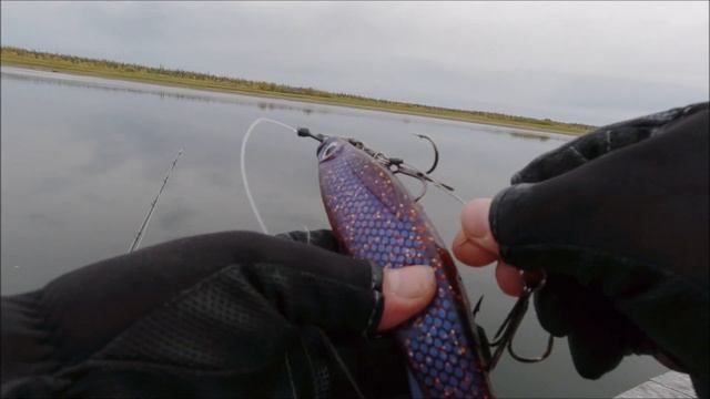 Щука не ловится в штиль, так не всегда. смотреть онлайн