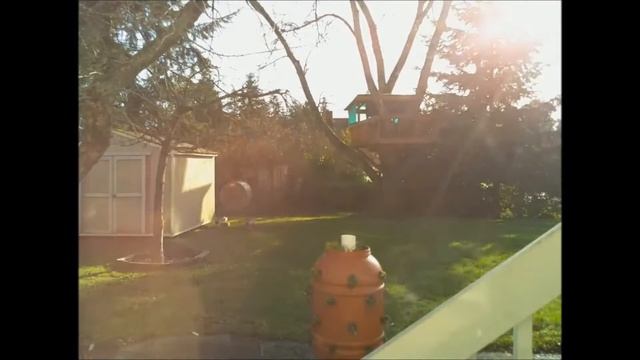 1 Day In 1 Minute with Raspberry Pi Camera Time-Lapse смотреть онлайн