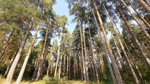 Волна Студенческий пляж Металлург Ижевск Удмуртия 25 августа 2022 г.