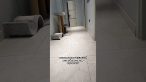 Пушистый влог Тиффани
