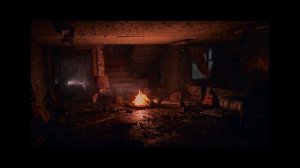 Сплин: Линия Жизни, ковер S.T.A.L.K.E.R. 2