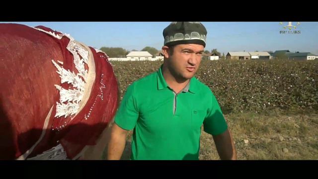 МУГАМБО АРУСИ БЕНОМУСША ҚАТИ КУЧКАР КАПИД / МУГАМБО ВА КУЧКАР САХНАИ НАВ 2021 смотреть онлайн