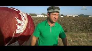 МУГАМБО АРУСИ БЕНОМУСША ҚАТИ КУЧКАР КАПИД / МУГАМБО ВА КУЧКАР САХНАИ НАВ 2021
