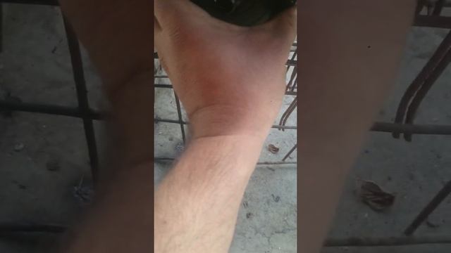 Ремонт бензиновый двигатель смотреть онлайн