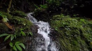 Целительная музыка Поток чистоты   гармонизация, очищение негативных программ