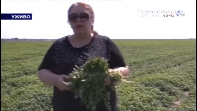 EMISIJA OTKOS   30 09 2017 смотреть онлайн