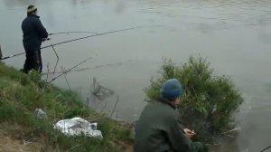 бирючья коса 26 04 2016г