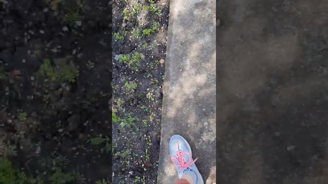 путешествие по даче смотреть онлайн