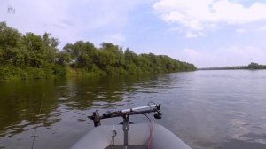 Донской голавль у Быстрой Сосны. Ловля на фидер в грозу ??️ Рыбалка Красивая  Меча - Быстрая Сосна