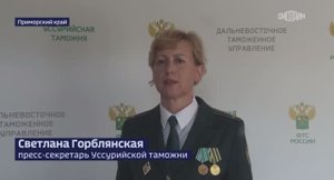 Телеканал «Россия 24», программа «Вести. Дежурная часть», 02.08.2023