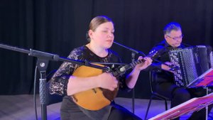 Анатолий Николаев - Если б гармошка умела