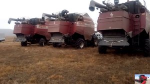 Уборка кукурузы 2020 Карачаево-Черкессия на Палессе GS-1218