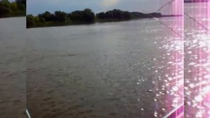 Рыбалка Бакланье