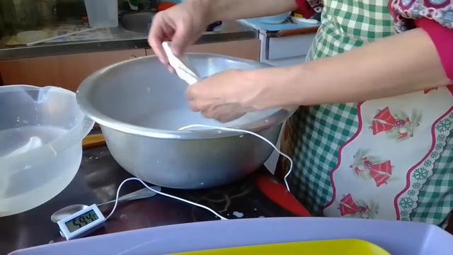 Буррата со страчателлой из козьего молока. Моцарелла. Косичка
