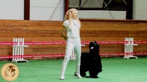 Танцы с собаками. Ильина Полина и русский черный терьер Парма