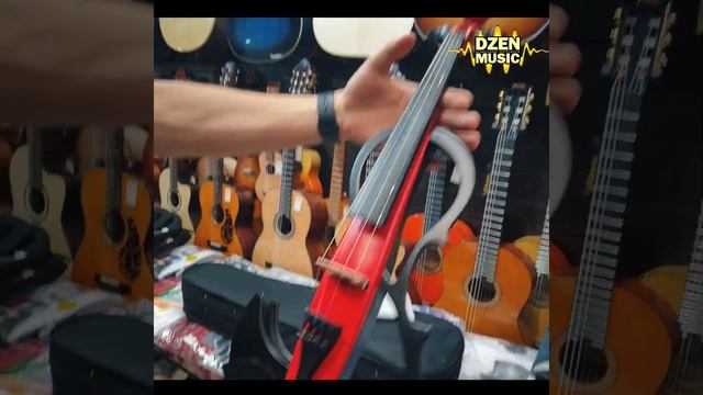 Распаковка электроскрипки Mirra. Первое впечатление