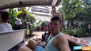 Сингапур. Лучший Зоопарк в Мире. Singapore ZOO