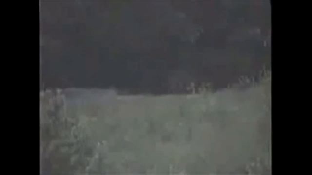 ТОП 11 СКРИМЕРОВ