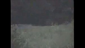 ТОП 11 СКРИМЕРОВ