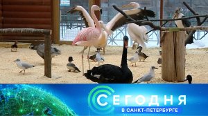 «Сегодня в Санкт-Петербурге»: 14 февраля 2024 года
