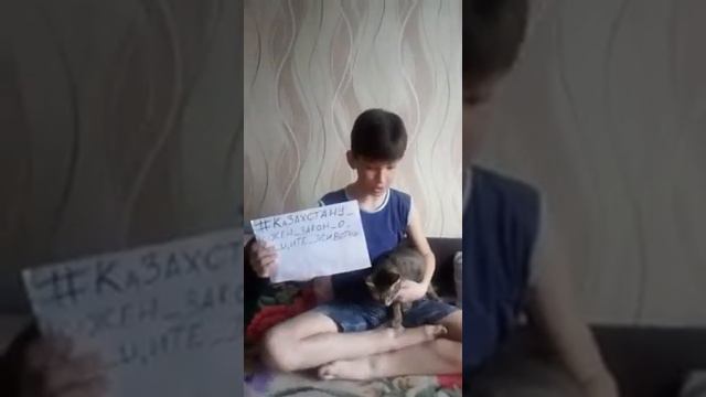 Казахстану нужен закон о защите животных!