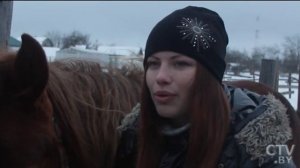 Прогулки на лошадях зимой: какую одежду подобрать и как правильно ухаживать за животным