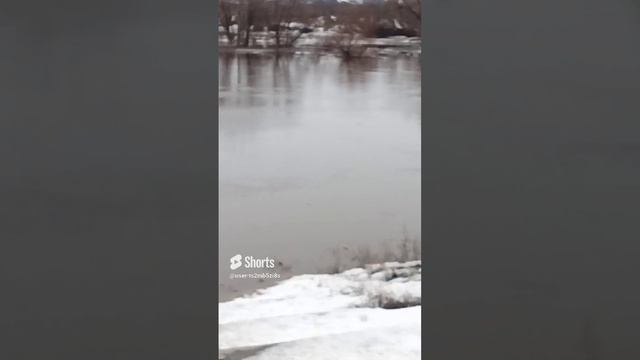 Река Самарка ещё больше становится
