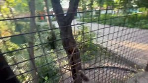 Люська СХВАТИЛА ВЕНИК и взмыла ввысь, народ просто ухахатался)))
