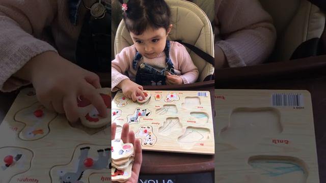 Милана учит домашних животных #xaxalove #милана#умница смотреть онлайн