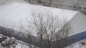 Вороны катаются с крыши)