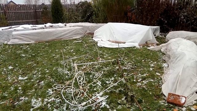 Мои розы почти укрыты.Планы,советы,мысли. смотреть онлайн