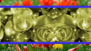 Искусство создания видео в ProShow Producer. Уроки № 91,92,93.